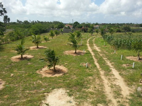 Imagem 4 de 8 de Terreno 10.000m Com Casa Em São Jose De Mipibú