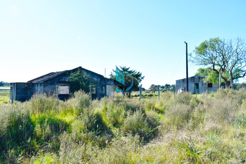 Venta Chacra Ruta 11 Km. 152. 3 Hás. 4735m