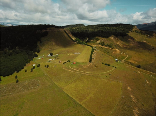 Se Vende Campo De 60 Hectáreas En El Sector Lago Pollux