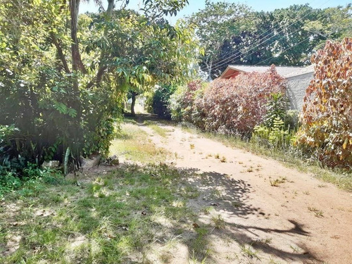 Imagem 4 de 13 de Chácara Rural Na Praia Da Tapera, Florianópolis - . - Ch0002