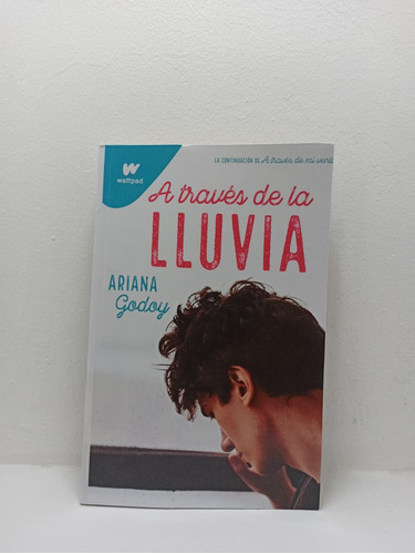 Libro: A Través De La Lluvia - Ariana Godoy