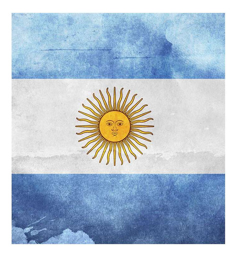 Vinilo 30x30cm Bandera Argentina Patria Nacion Celeste P3