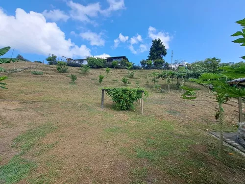 Finca En Venta