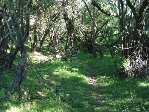 Campo 98 Has Con 2891 M2 En Carape Cuenta Con Costa De Arroyo.