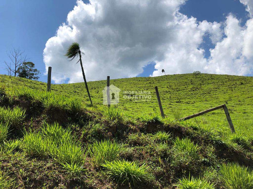 Chácara, São Lourenço, São Lourenço Da Serra - R$ 100 Mil, Cod: 4018 - V4018