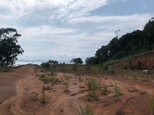 Imagem 7 de 14 de Vendo Terreno Com 10.200m2 Na Br-101