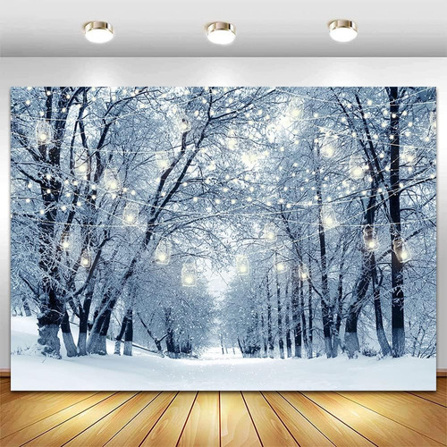 Winter Wonderland Scene Photography Backdrop 7x5ft Snowflake