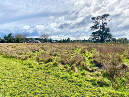 Espectacular Parcela De 5.000 M2 En Reserva Santa Clara!