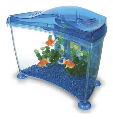Goldfish kit 2025