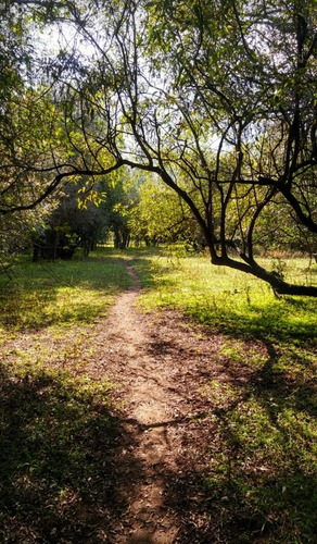 Imagen 4 de 5 de Espacio Verde Con Arroyo Para Pesca Camping Paseos A Caballo