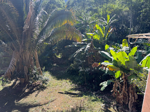 Sítio Uma Floresta