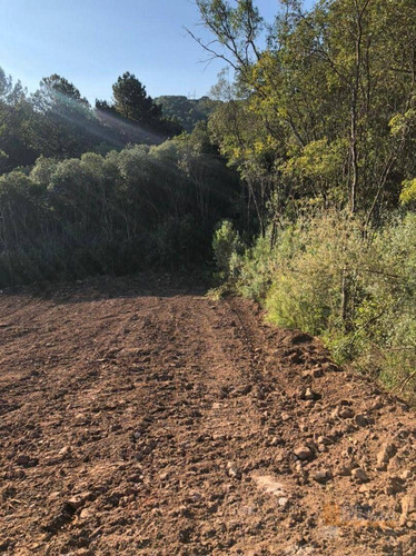 Imagem 13 de 22 de Terreno À Venda, 300 M² Por R$ 99.000,00 - Desvio Rizzo - Caxias Do Sul/rs - Te0225