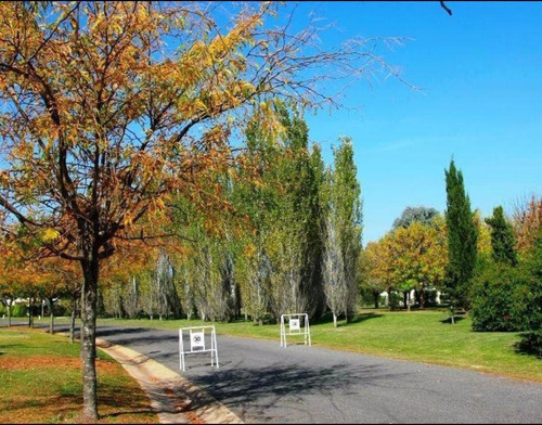Imagen 7 de 7 de Terreno - Pilar Del Este Santa Emilia