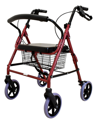 Andadera Rollator Ortopédica Con Asiento