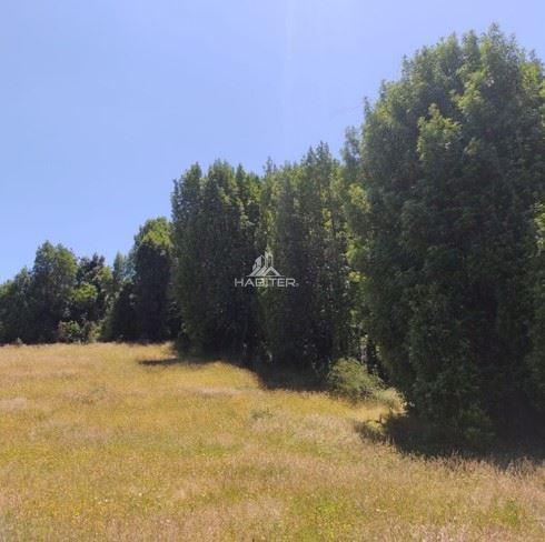 Imagen 6 de 30 de Agrícola En Venta En Ancud