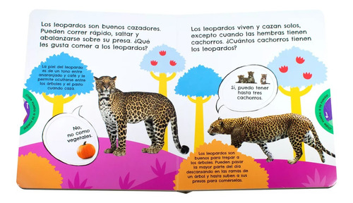 Datos Divertidos Grandes Felinos Editorial Silver Dolphin