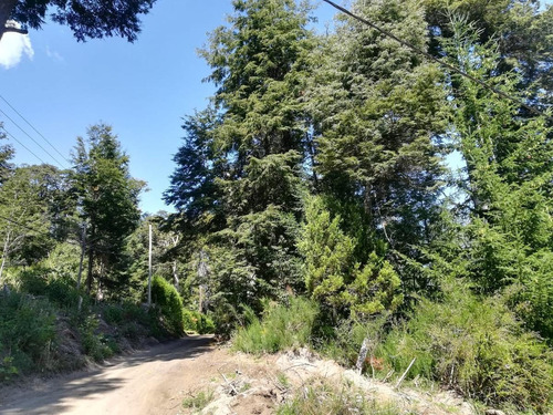 Imagen 3 de 5 de Terreno - Villa La Angostura