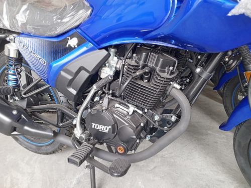 Moto Toro Tr150 Jaguar (promocion)