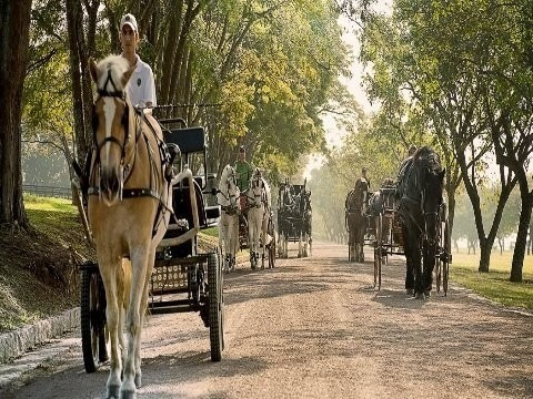 Imagem 9 de 24 de Condomínio Haras Larissa - Tr01342 - 69296908