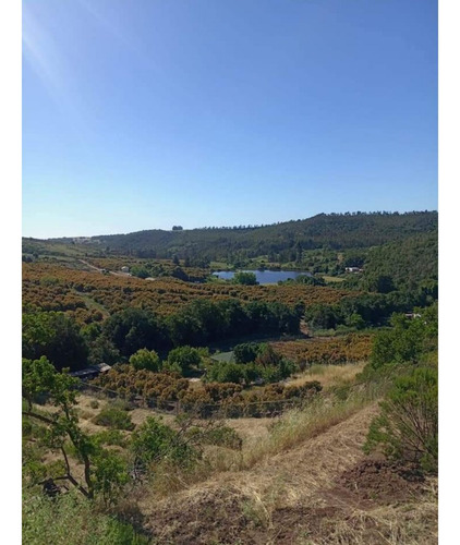 Vende Parcela De 5.200 Mt2, Con Luz Y Rol Propio, Ubicada En