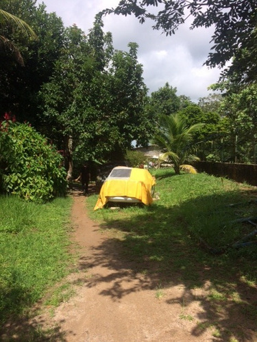Imagem 18 de 19 de Ótima Granja 2,5 Hec, Guabiraba-aldeia, 250m De Beira De Pista, Aceito Imóvel Ou Carro - Ch00006