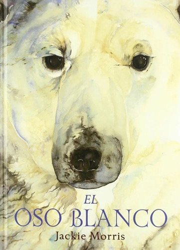 Oso Blanco, El - Jackie Morris