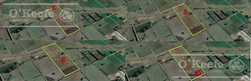 Campo En Venta De 50 Has En Carlos Keen - A 1 Hora De Caba
