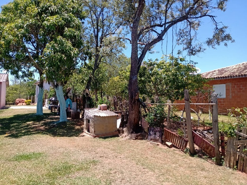 Imagem 14 de 20 de Sítio 6 Alqueires Em Angatuba Sp, Oportunidade... Com 2 Casas Sede E Caseiro... Sede 4 Quartos 3 Wc, Cozinha Sala Copa Lavanderia Garagem Para Até 3 Veículos, Barracão De Trato E L - St00008 - 687704