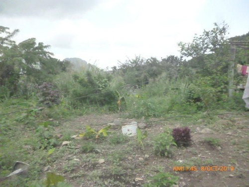 Imagen 2 de 10 de Terreno En Venta En Av. Acosta Carlez, San Juan De Los Morros. 22-19745
