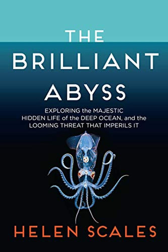 The Brilliant Abyss: Exploring The Majestic Hidden Life Of T