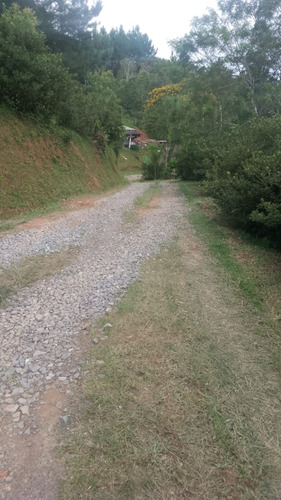 Vende-se Terreno Para Construir De Sítio Ou Chácara