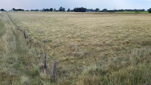 Vendo O Permuto Chacra De 2 Hectareas A 40 Minutos De Tandil
