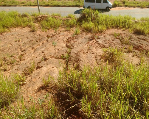 Imagem 5 de 5 de Terreno - Te00913 - 32362210