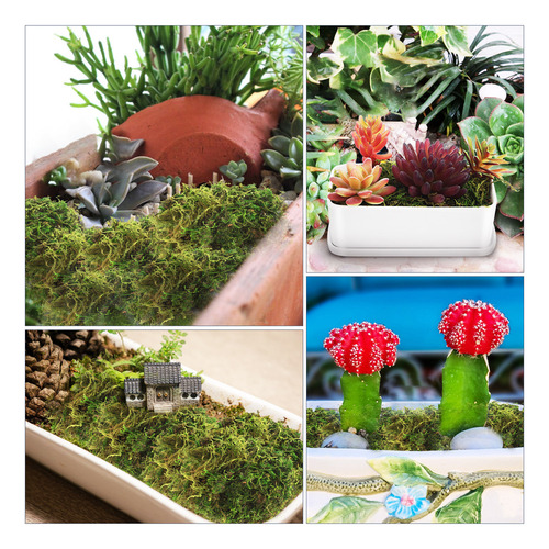 Plantas Artificiales De Interior, Musgo Teñido De Verde, Mus