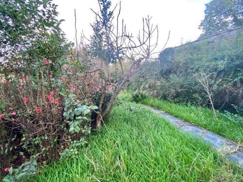 Imagen 7 de 14 de Chalet En Venta En Ituzaingo Norte