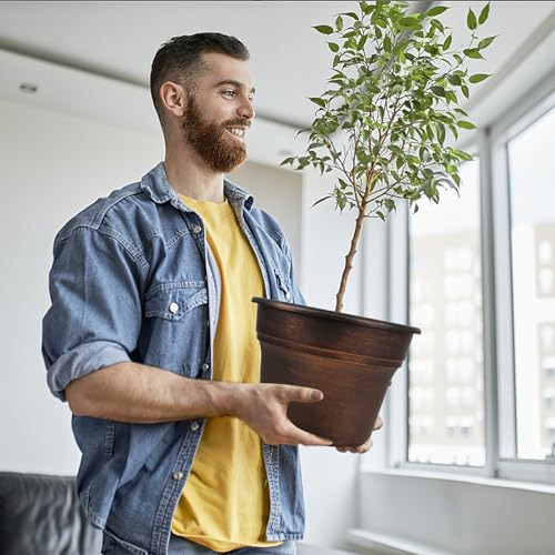 Conjunto De 4 Macetas Para Plantas De 11 Pulgadas, Macetas