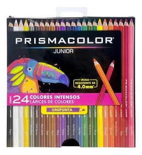 Lápis Prismacolor 24 Cores + Brinde