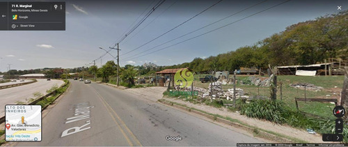 Imagem 4 de 7 de Terreno À Venda, 15.880 M² - Vila Oeste - Belo Horizonte/mg - Te0037