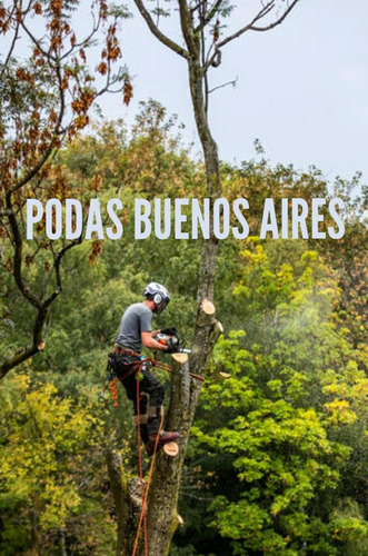 Imagen 4 de 5 de Poda De Arboles Servicio Poda Tala Extracción Y Desmonte