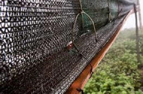 Imagen 7 de 7 de Malla De 50% De Sombra 4.2m De Ancho X 1 Metro Lineal Negra