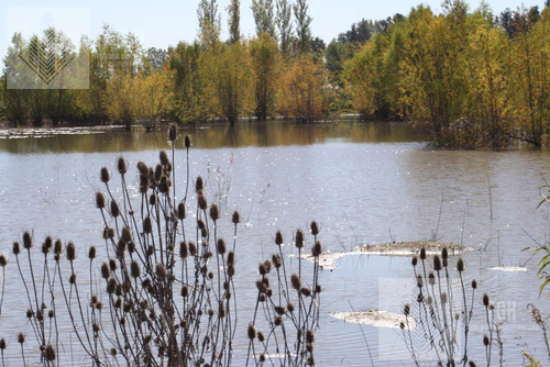 Lote Bosque En Venta En El Campo De Cardales Financia
