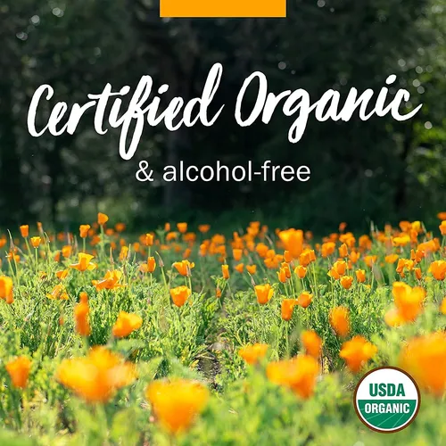 Extracto Líquido Orgánico De Ajenjo Certificado Para Apoyo D