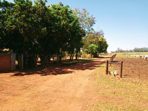 Imagem 9 de 9 de Fazenda Para Venda Em Piraju, Rural - Faz 610_1-1938997