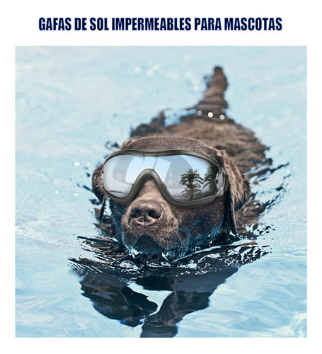 Gafas De Sol Para Perro Anti-uv Protector De Ojos Ajustable