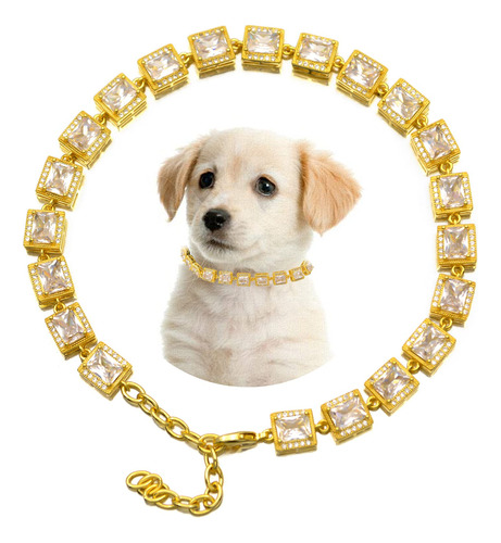 Cadena De Collar Para Mascotas Bling Gold Iced Out Para Perr