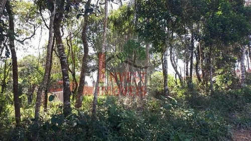 Imagem 8 de 8 de Terreno - Ref: 3309 - V-3309