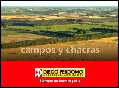 Campo Forestal De 117 Has En Venta, San José