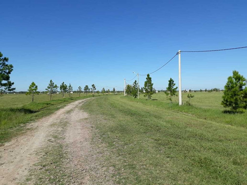 Imagen 10 de 14 de Delpa Vende Lote En Chacras Del Golf