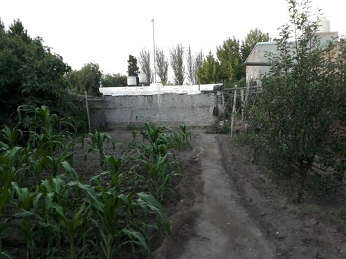 Imagen 11 de 11 de Vendo Casa Centrica 3 Dorm 600m2 De Terreno