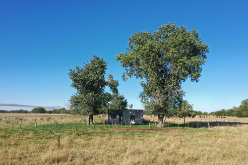 Chacra De 11,65 Has A La Venta - Las Chacras, Lobos